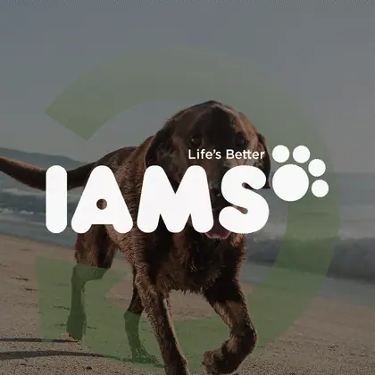 IAMS