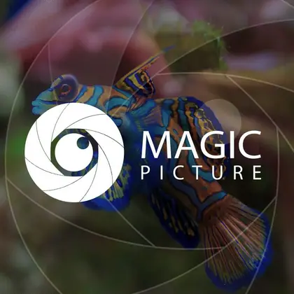 Magic